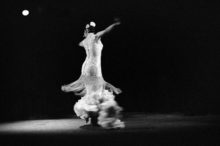Tänzerin in eleganter Flamencokleidung, die sich im Spektakel dreht.